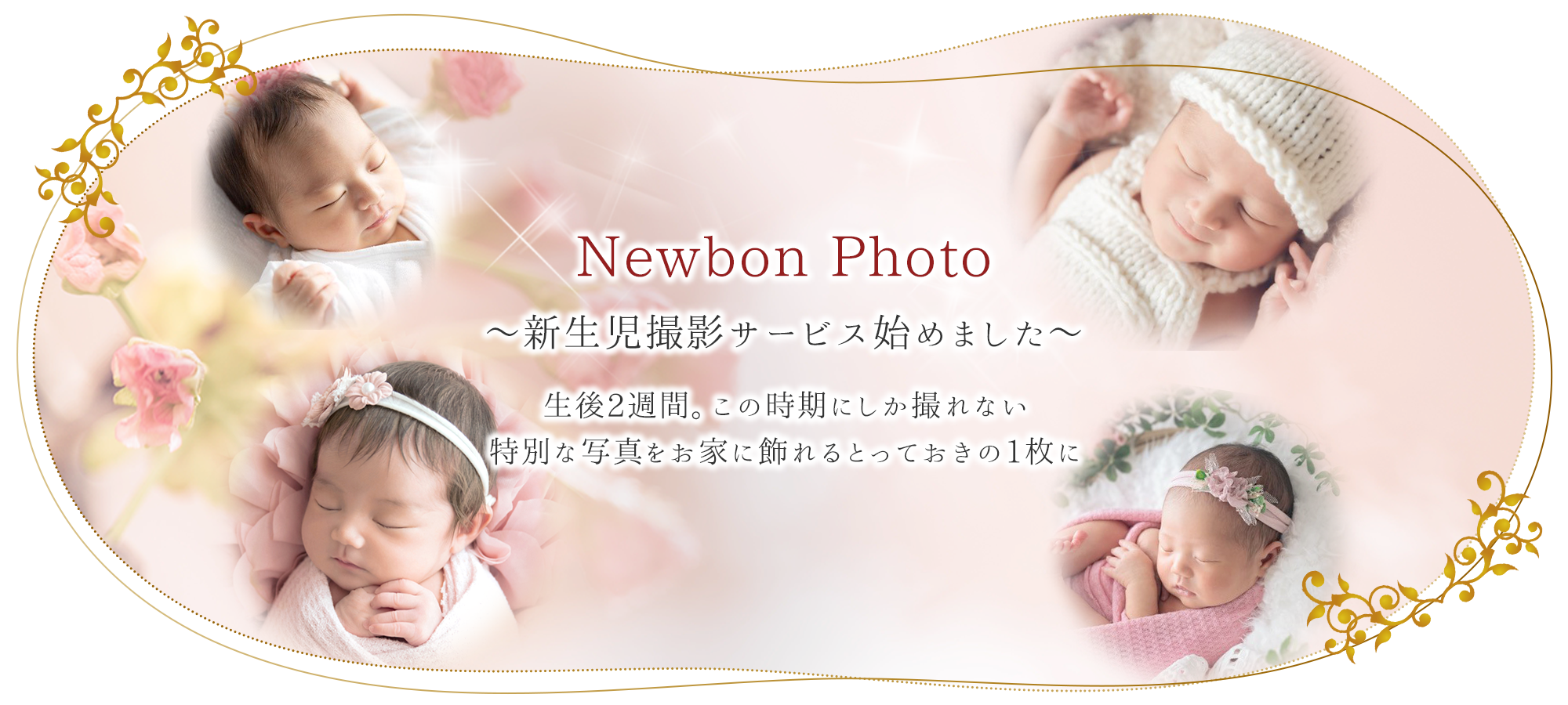 Newbon Photo